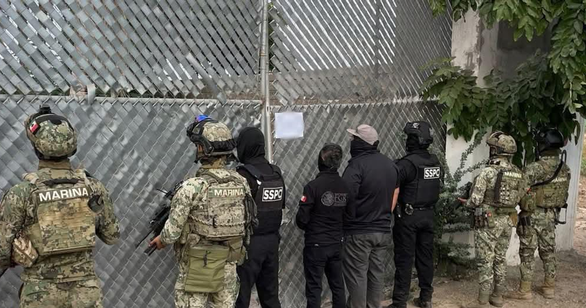 Fuerzas federales inspeccionan cerca durante operativo en Ahome, Sinaloa