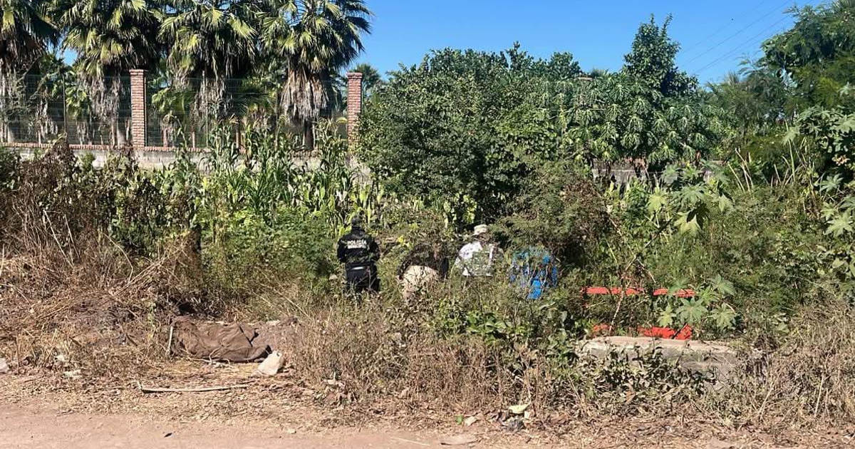 Vegetación densa en La Piedrera, Culiacán, con personas posiblemente inspeccionando la zona del hallazgo de un cuerpo con signos de violencia.