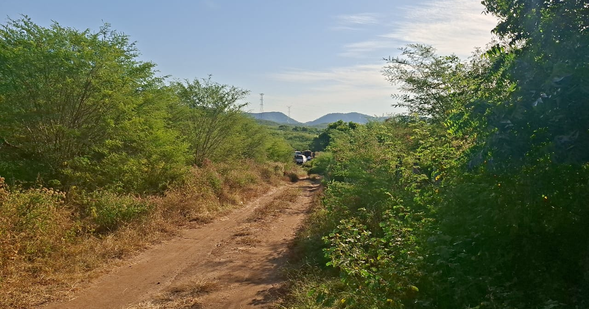 Camino de tierra en El Chilillo, Mazatlán, rodeado de vegetación y montañas al fondo