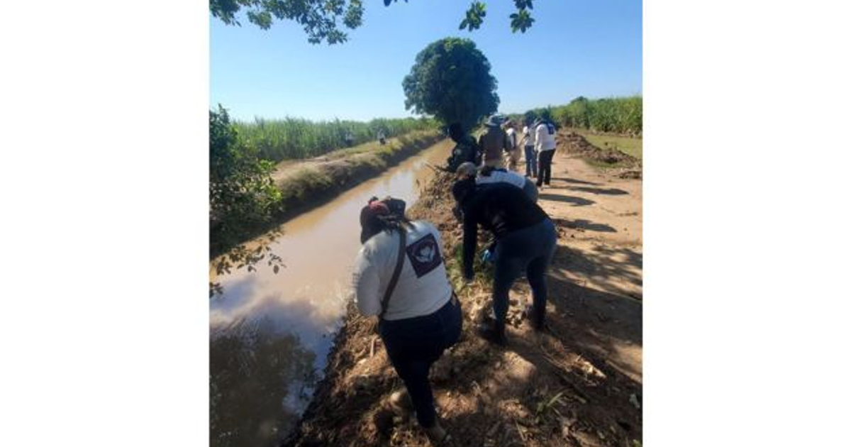Personas trabajando junto a un canal de agua en El Dorado, Sinaloa, durante una búsqueda de restos humanos.