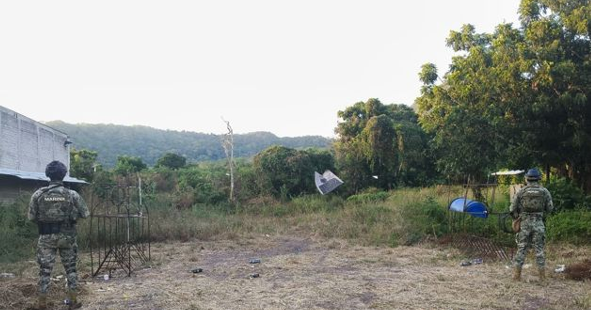 Operativo de la Marina en Sinaloa con personal militar en un área rural