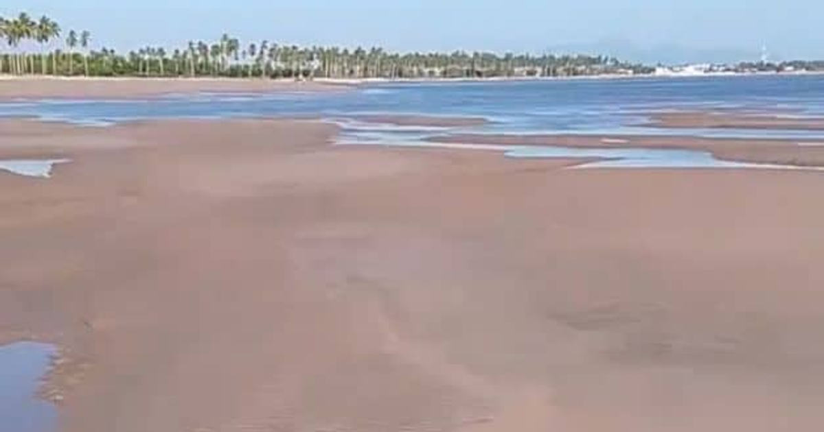 Playa de Teacapán con mar retirado y charcas de agua en la arena, bajo un cielo despejado.