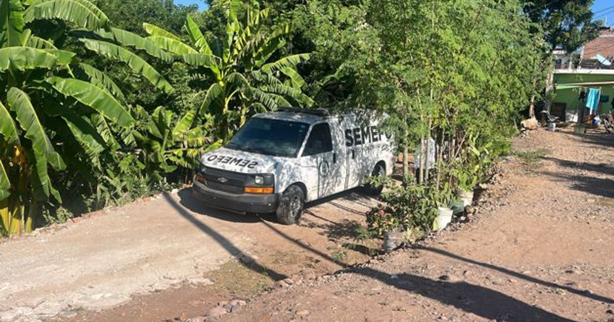 Camioneta blanca del SEMBEFO en camino de tierra, rodeada de plantas y plataneras, vinculada a un caso de homicidio en Culiacán.
