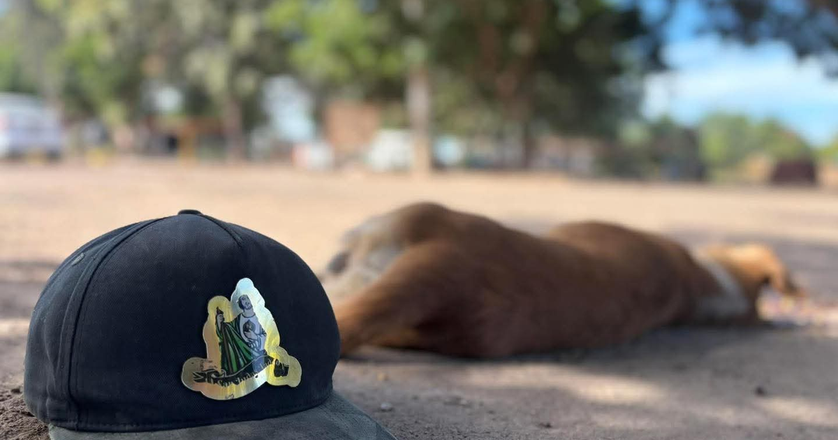 Primer plano de una gorra negra junto a un perro en un entorno rural, en memoria del joven y su mascota fallecidos en Aguaruto.