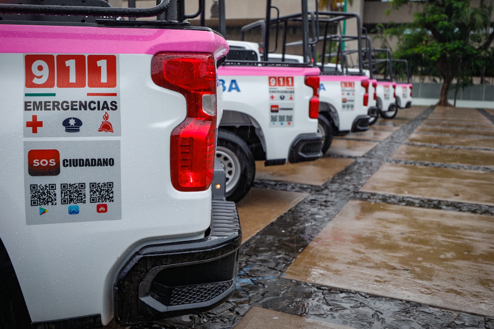 . Sinaloa, #violencia_de_género, Aumento, Rocha Moya