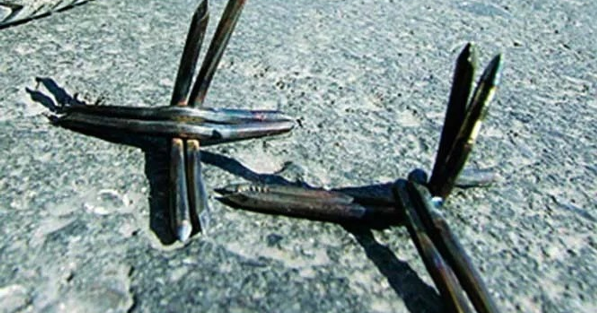 Objetos metálicos usados como ponchallantas sobre asfalto de autopista.