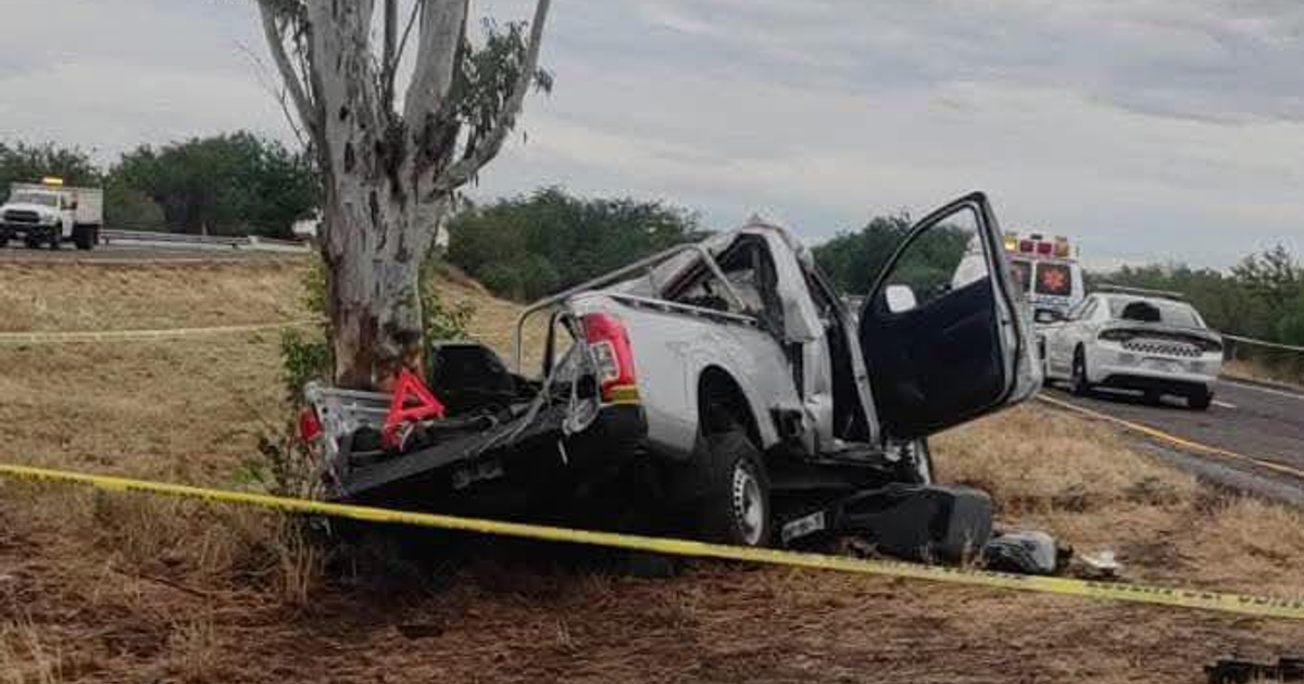 Vehículo siniestrado impactado contra un árbol en la Maxipista Culiacán-Mazatlán, rodeado de vehículos de emergencia
