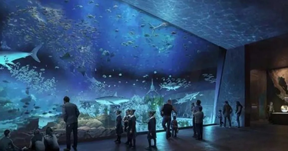 Visitantes contemplan un mural acuático vibrante en el Gran Acuario de Mazatlán.