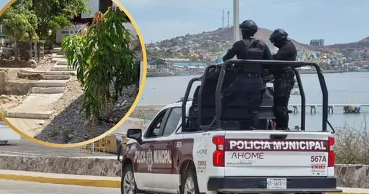 Patrulla de Policía Municipal Ahome, zona costera, dos agentes a bordo, camino con escalones, fondo con agua y edificaciones.