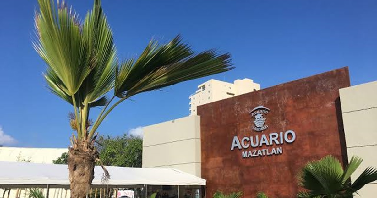 Vista del Acuario de Mazatlán con una palmera y cielo despejado, reflejando tanto su majestuosidad como las historias laborales asociadas.