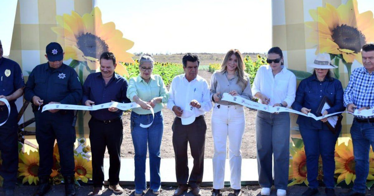 Figuras públicas cortan cinta en inauguración de campo de girasoles en Mocorito, Sinaloa.