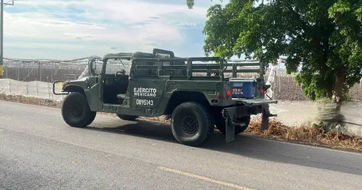 Vehículo del Ejército Mexicano junto a carretera en paisaje agrícola de Sinaloa