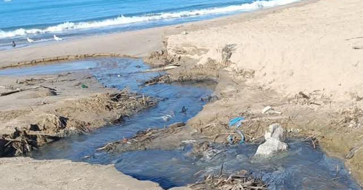 Descarga de aguas negras en playa de Mazatlán con contaminación visible en la costa