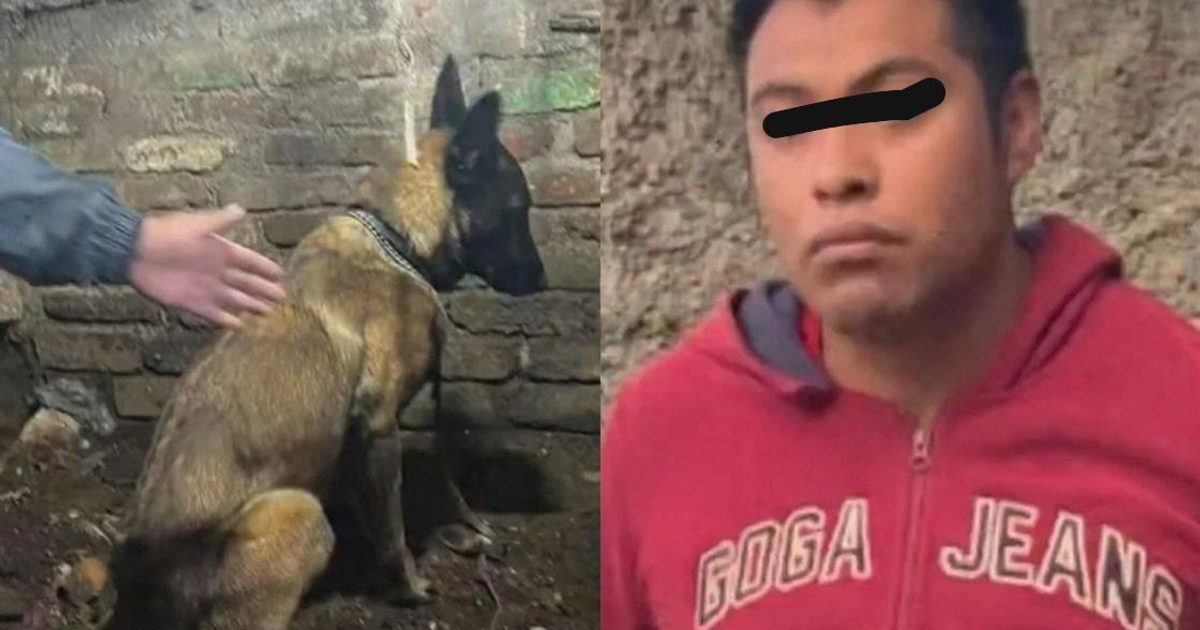 Perro Káiser de pastor belga y su guía dentro de un entorno de ladrillo.