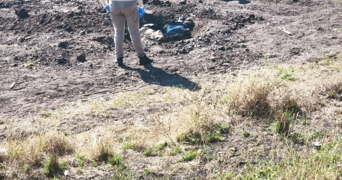 Colectivo Sabuesos Guerreras descubre fosa clandestina en El Alhuate, Culiacán.
