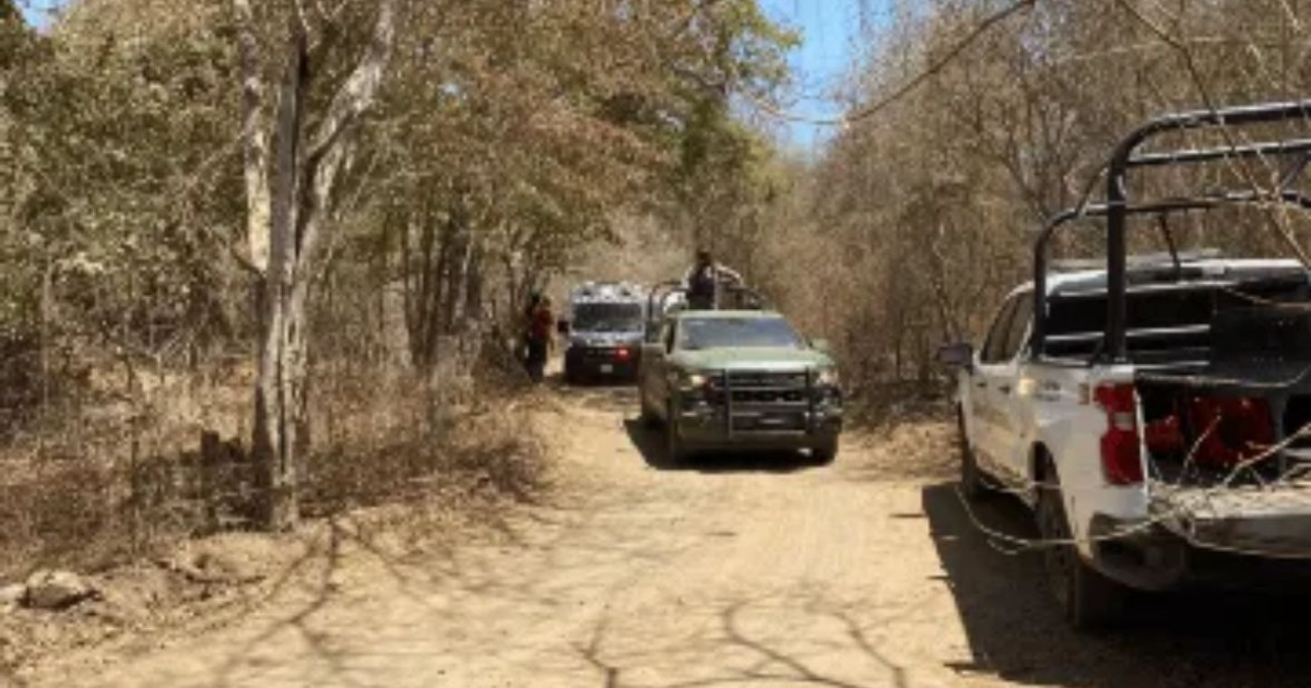 Camino de tierra con vehículos y árboles secos en Mármol, Mazatlán, escena de investigación forense.