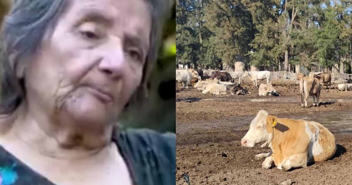 Una mujer seria y una escena de ganado en un paisaje rural, reflejando la crisis ganadera en Chiapas.