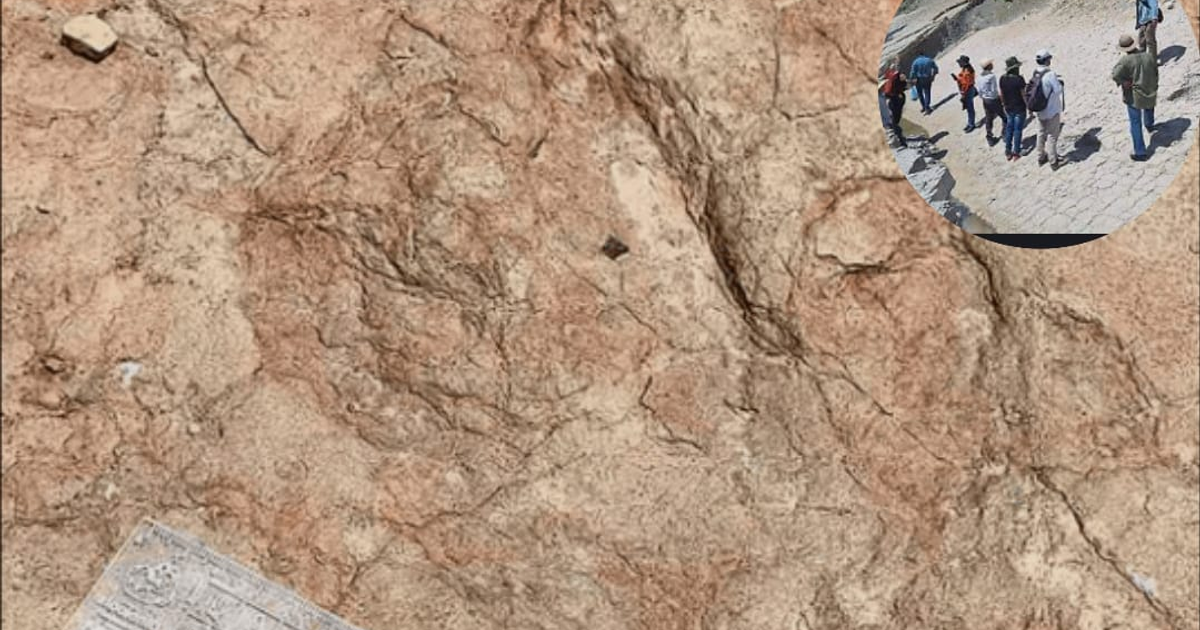 Superficie rocosa con huellas de dinosaurios en Tehuacán-Cuicatlán, México, examinada por investigadores del INAH.