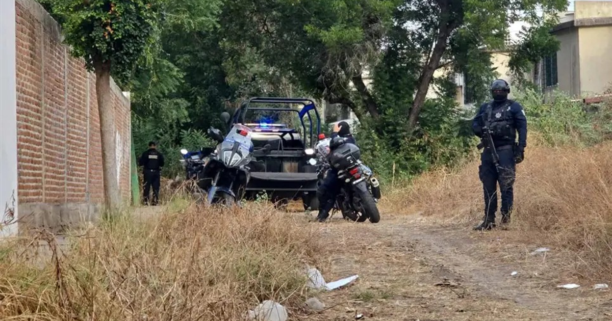 Operativo policial en camino rural con hierba alta y varios oficiales.