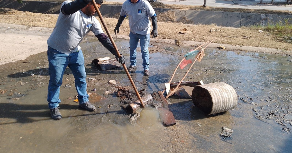 Trabajo de limpieza en agua contaminada en Mazatlán