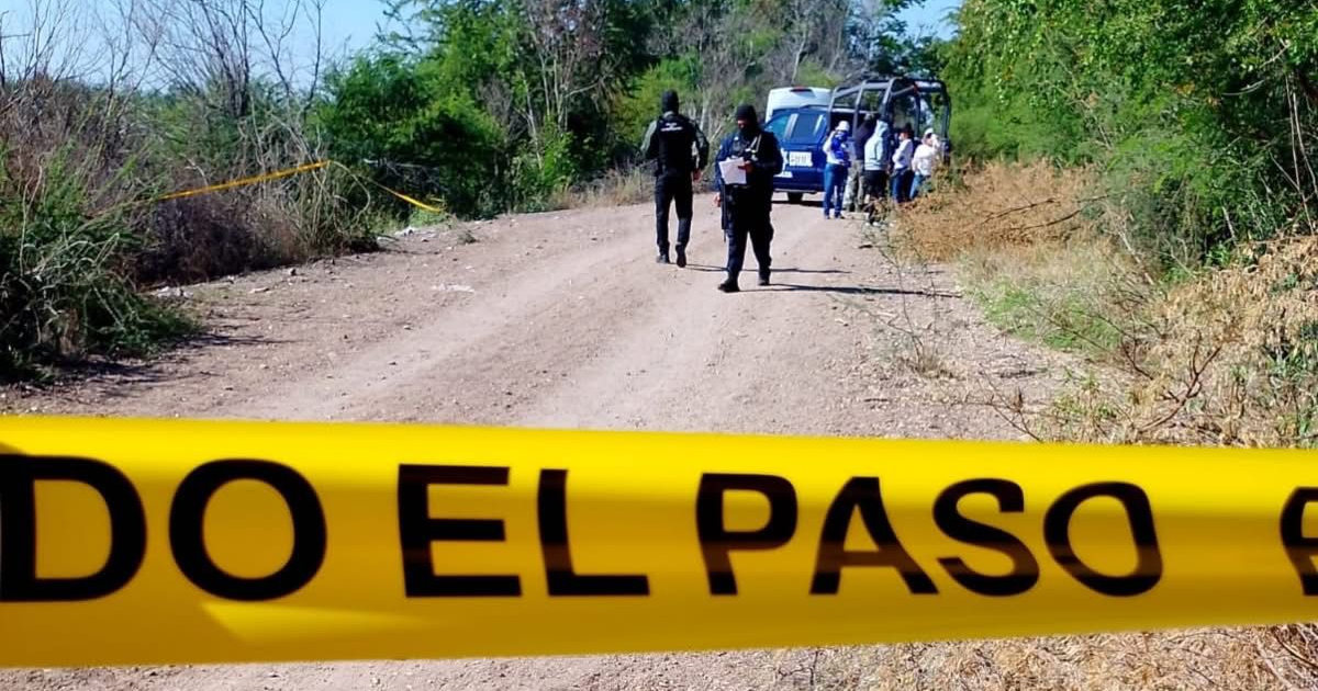 Investigadores en escena del crimen en ejido El Alhuate, Sinaloa