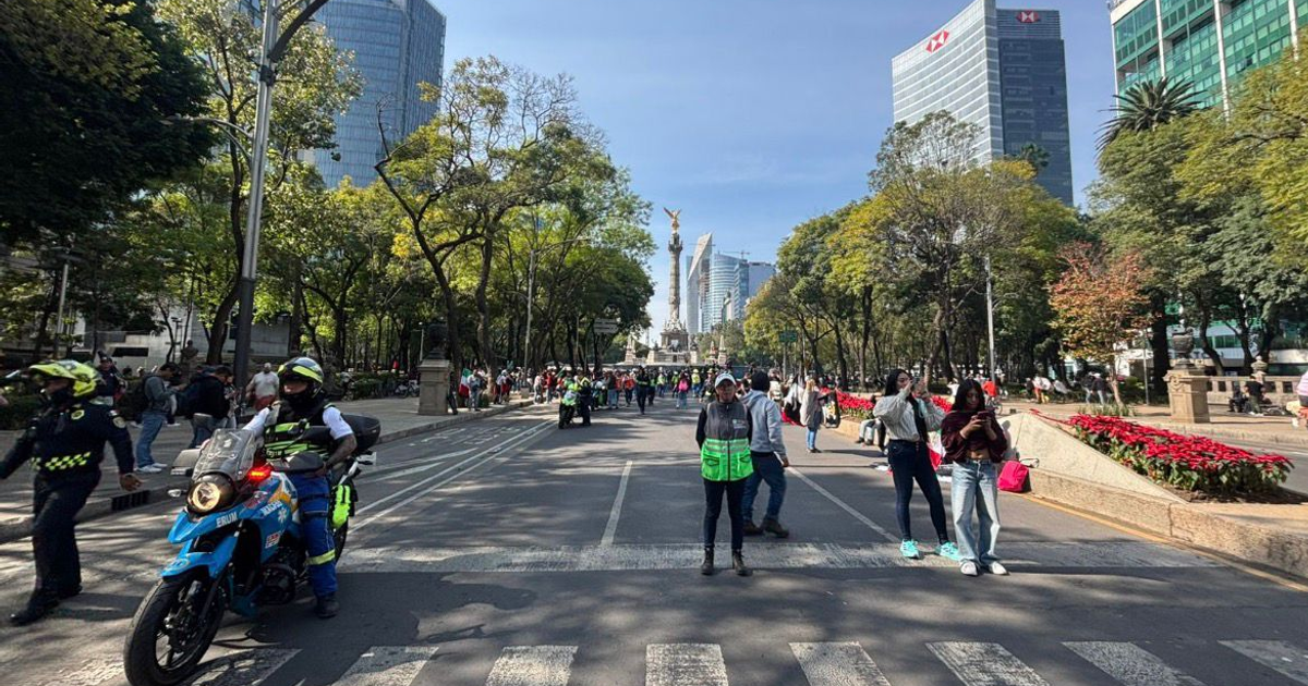 Vista de una marcha en la Ciudad de México con personas caminando en una avenida flanqueada por árboles y un monumento al fondo. El clima es soleado.