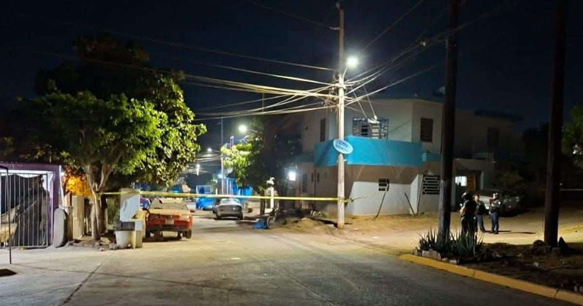Calle nocturna en Mazatlán tras un incidente con árboles, luces, y un edificio azul al fondo.