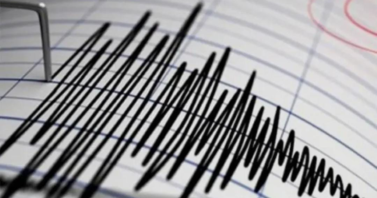 Gráfico de sismógrafo mostrando ondas sísmicas de microsismos en Naucalpan el 1 de diciembre.