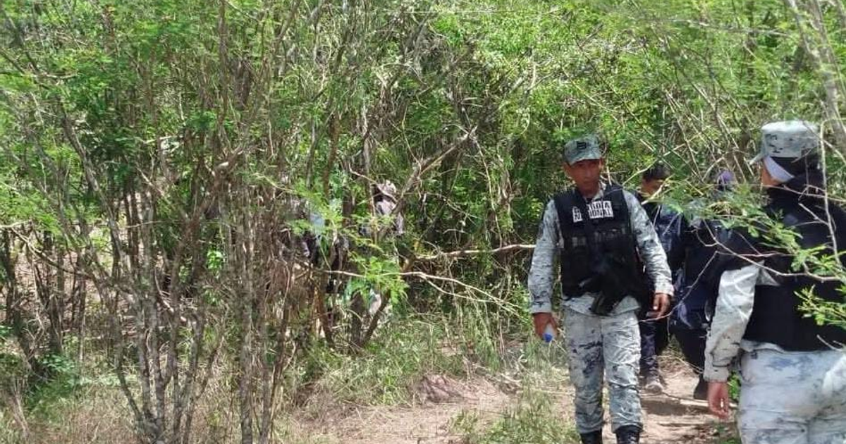 Grupo de personas en uniforme patrullando un bosque en Mazatlán