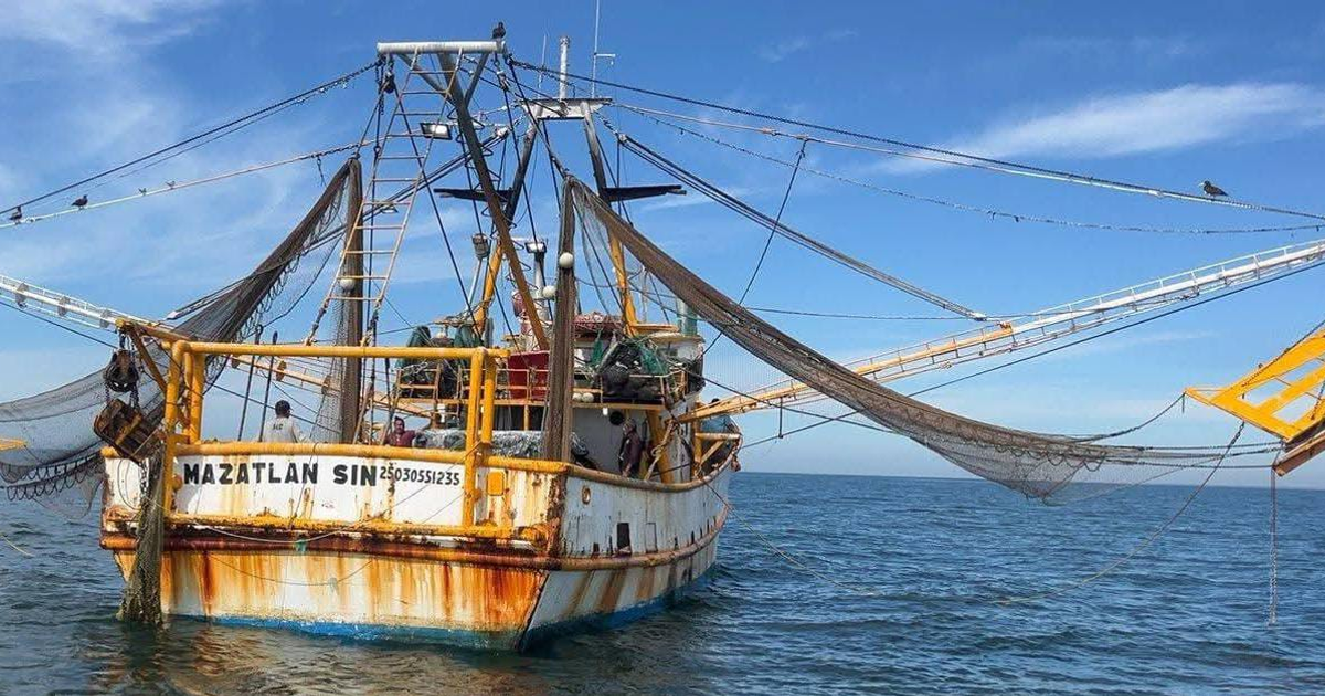 Barco pesquero 'MAZATLÁN SIN' en el mar con partes oxidadas y redes, cielo despejado y aves volando.
