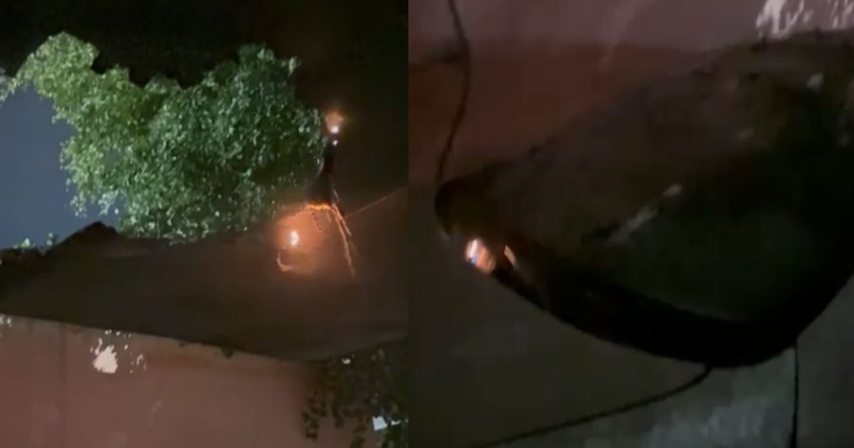 Iluminación en un árbol y un objeto oscuro tras un incidente nocturno con pirotecnia en Culiacán.