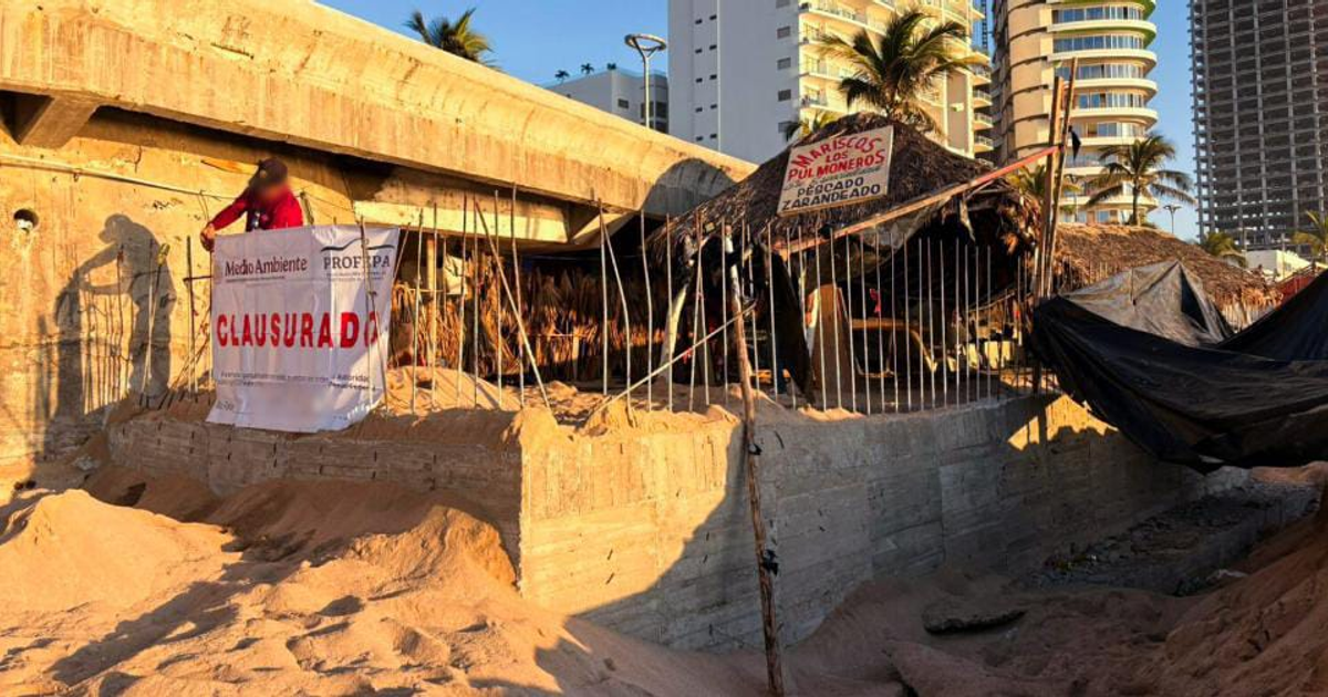 Obra en playa de Mazatlán con letrero de clausura de Profepa, rodeada de palmeras y edificios.