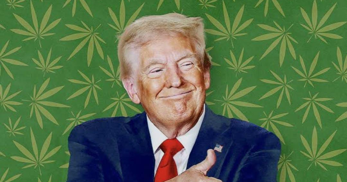 Persona sonriendo con pulgar arriba en contexto de cambio de clasificación de marihuana en EE.UU.