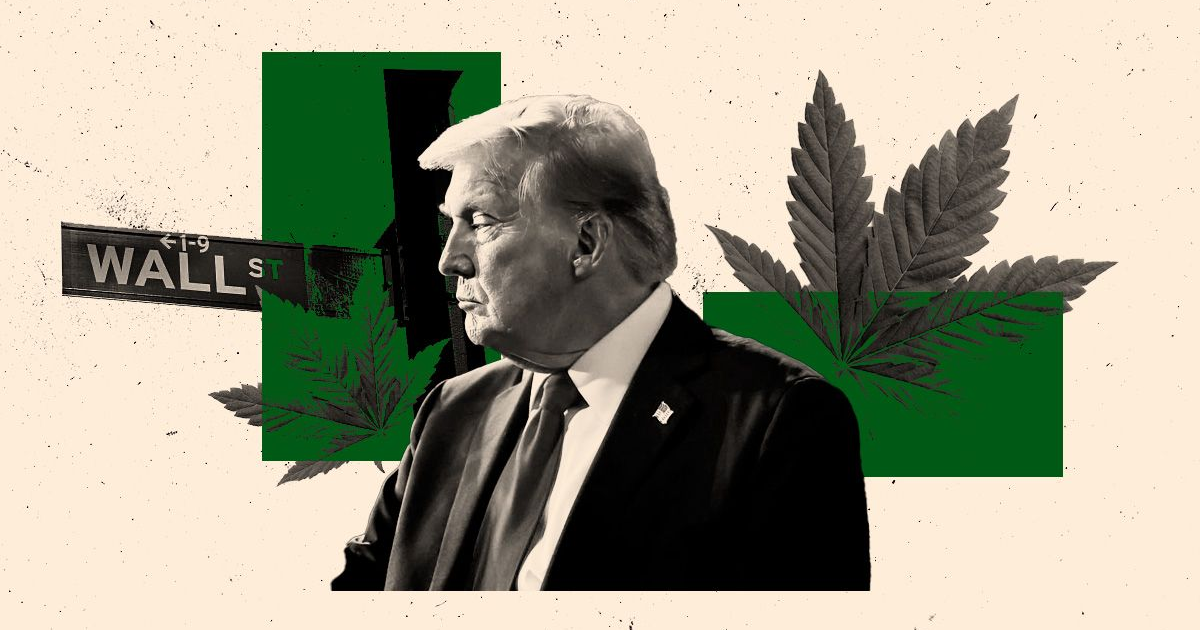 Letrero de Wall Street, retrato de hombre, hojas de marihuana sobre fondo verde.