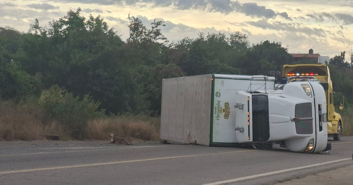 Camión volcado junto a la carretera México 15 con vehículo de emergencia amarillo y perro en la escena.