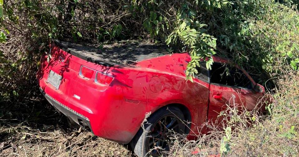 Automóvil deportivo rojo cubierto de vegetación tras accidentarse en Mazatlán.