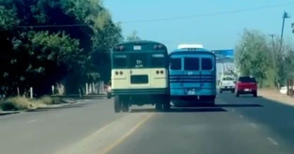 Dos autobuses, amarillo y azul, circulan muy cerca uno del otro en la carretera Los Mochis-Ahome, mientras un vehículo rojo aparece en la escena.
