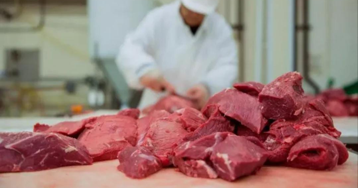 Trabajador procesando carne roja en una planta industrial, reflejando los retos del sector cárnico en México