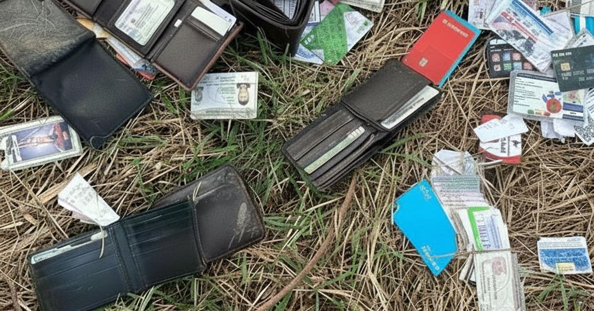 Billeteros abiertos y tarjetas dispersas sobre tierra y pasto, indicando posible abandono