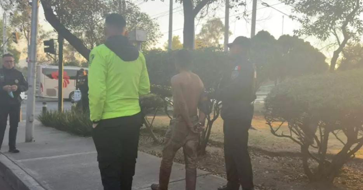 Hombre sin camisa detenido por policías en Avenida Insurgentes, ambiente urbano visible al fondo