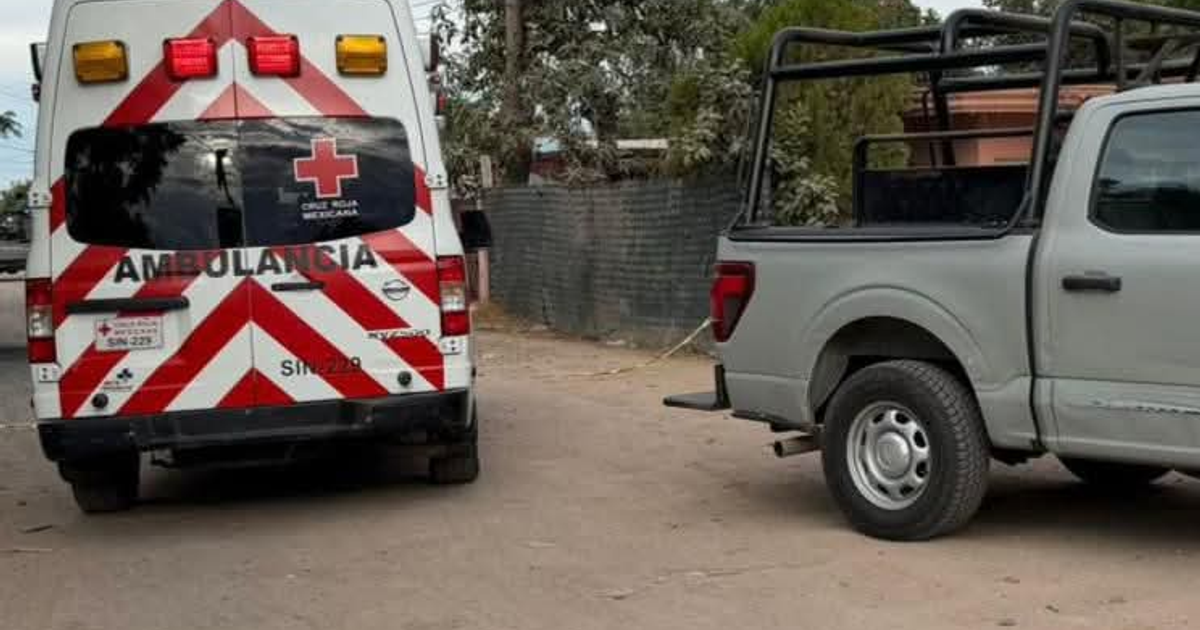 Ambulancia de Cruz Roja estacionada junto a camioneta gris en zona rural con árboles al fondo.