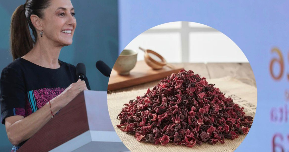 Mujer presenta programa Jamaica del Bienestar ante micrófono, flor seca al lado.