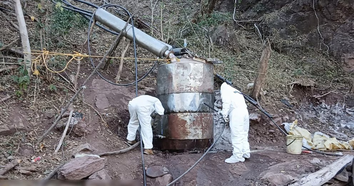 . Sinaloa, decomisada, MARINA, Operativo