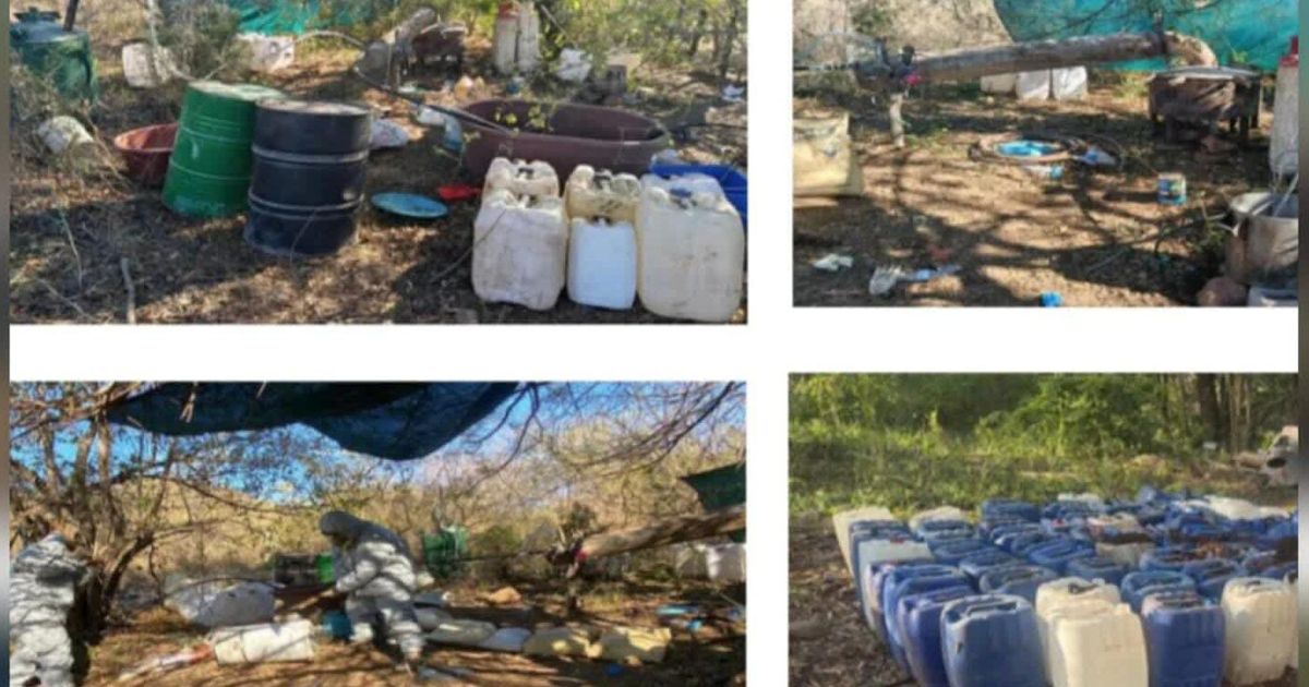 Área de concentración de sustancias químicas aseguradas con tambos y recipientes dispersos en un entorno rural en Culiacán.