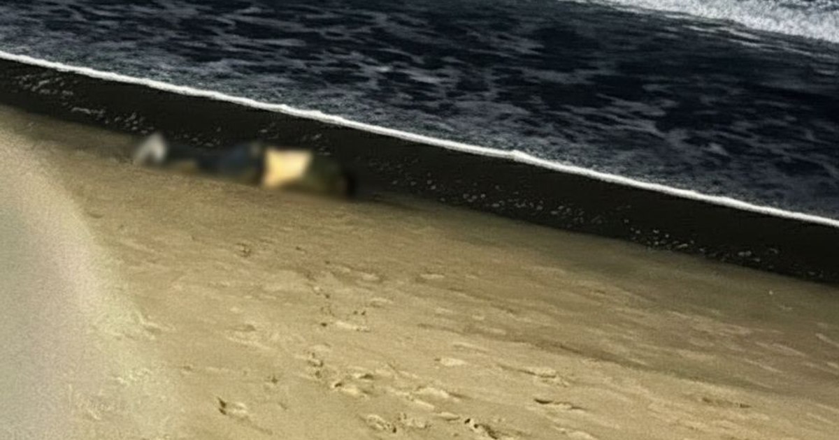 Cuerpo encontrado en playa de Mazatlán, visible desde Avenida del Mar