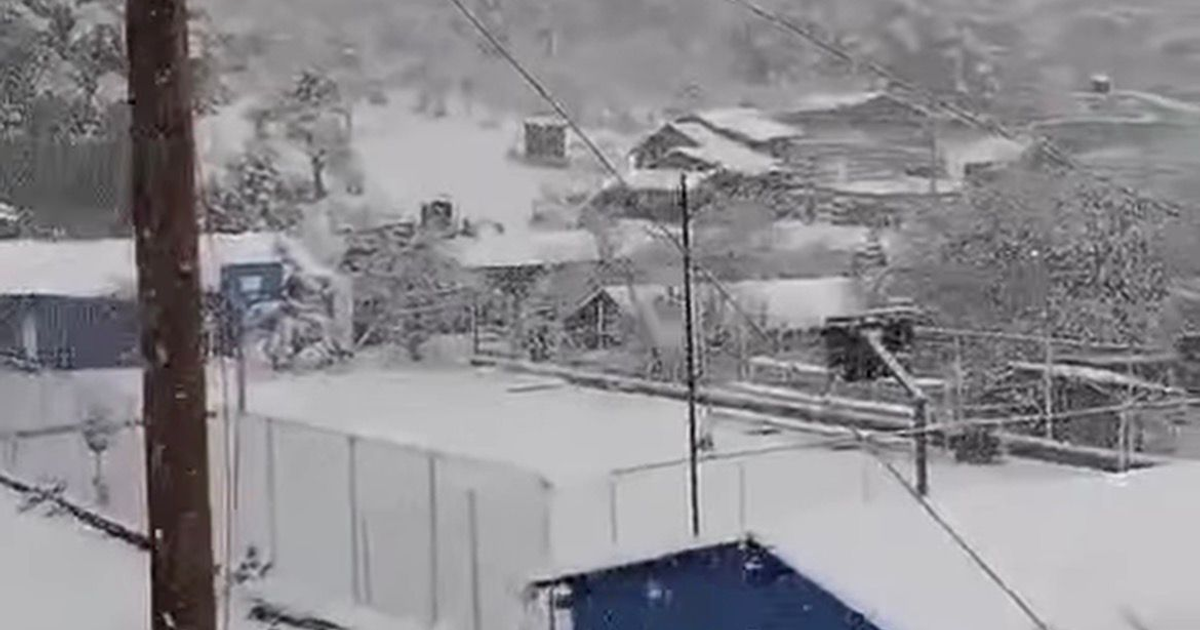 Paisaje nevado en Guanaceví, Durango, con árboles y postes en primer plano
