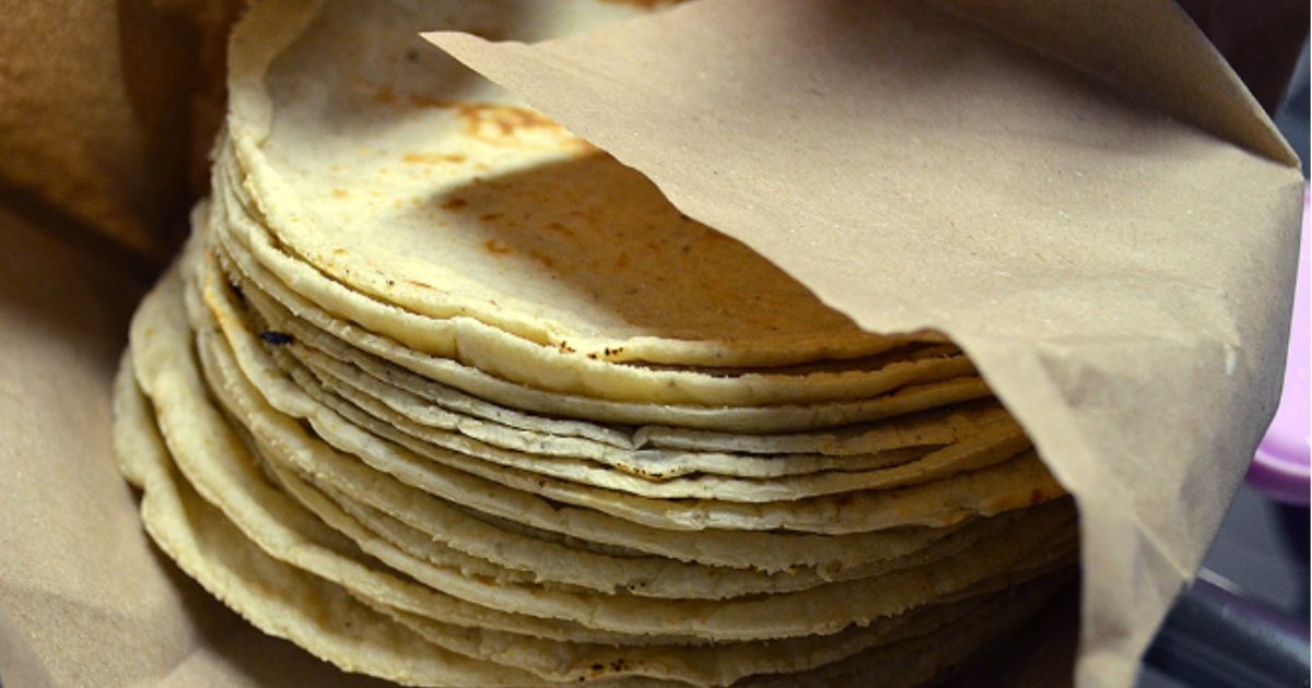 Tortillas de maíz apiladas y envueltas en papel, reflejando el precio de 26 pesos por kilo en Los Mochis.
