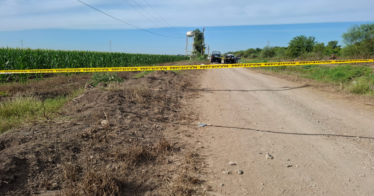 Camino de tierra en Navolato con cerca amarilla de PRECAUCIÓN y vegetación de fondo.