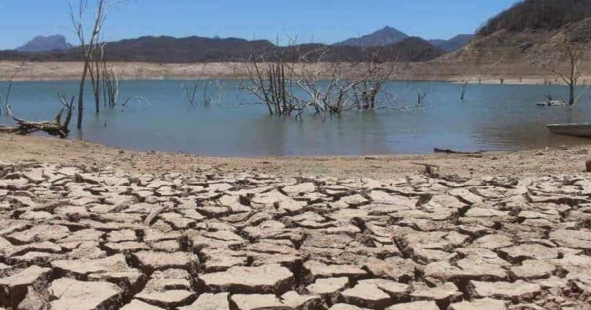 Paisaje desolado por la sequía en Choix, mostrando suelo agrietado, lago reducido y árboles secos, simbolizando la crisis de agua potable en la región.