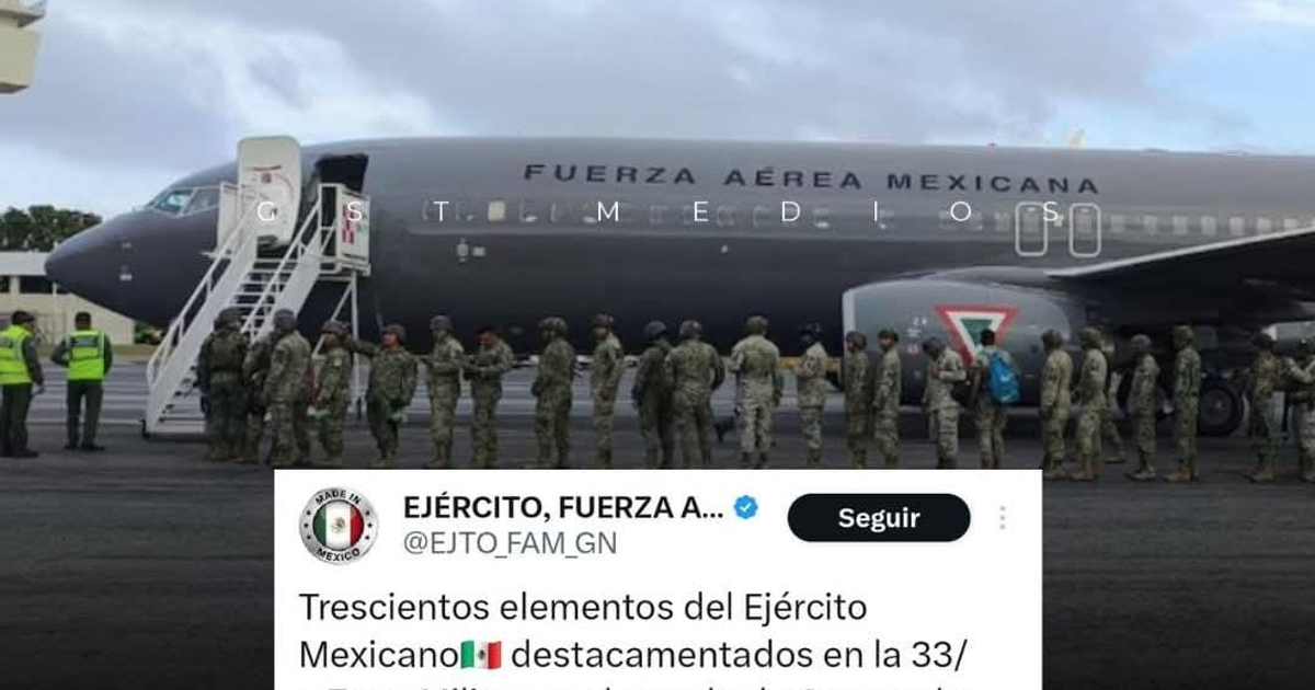Avión de la Fuerza Aérea Mexicana en aeropuerto con militares en formación